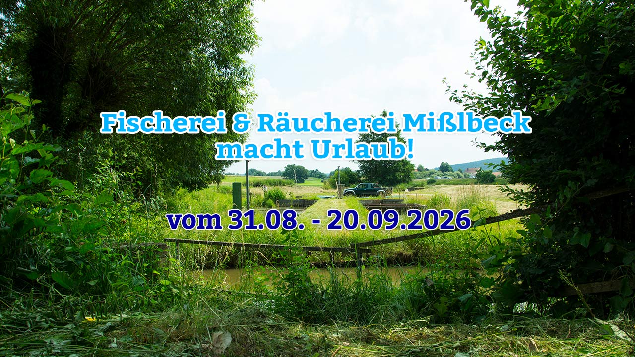 Urlaub_Sommer2026